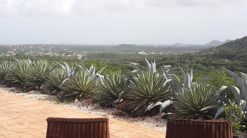 ทัศนียภาพ, Great Hill View Apartment in คูราเคา