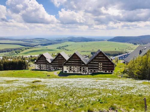 Le Nid du Sancy - Les Matins du Sancy - Super-Besse - Location saisonnière - Besse-et-Saint-Anastaise