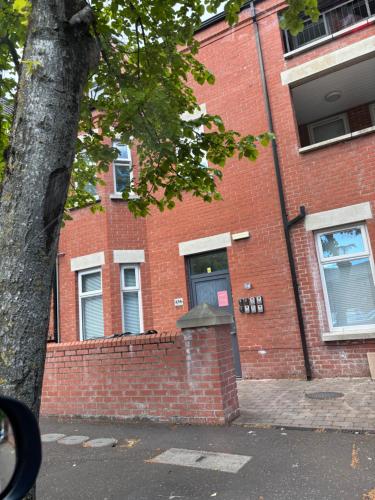 Queens apartments Belfast - Belfast