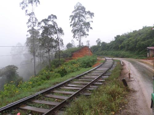 The Train View