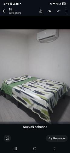 Casa alexander 2