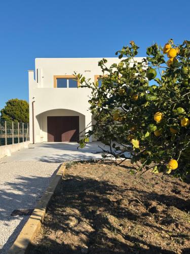 Al Malaseno - Stagnone Apartments