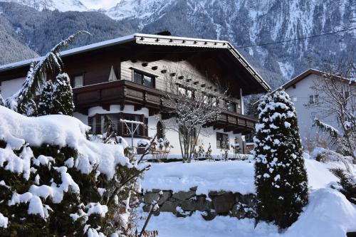 Appartements Falkner Dorli