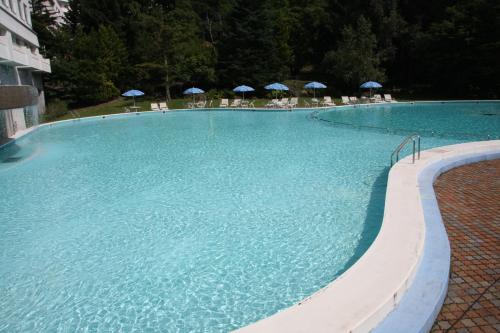 Resort Hotel Tateshina - 수영장