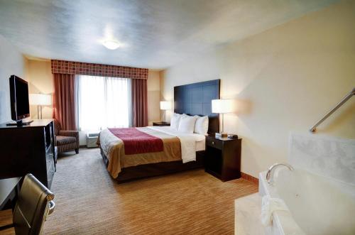 Comfort Inn and Suites Medical West - image 19