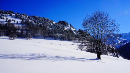 Résidence Goélia Les Chalets des Ecourts - image 9