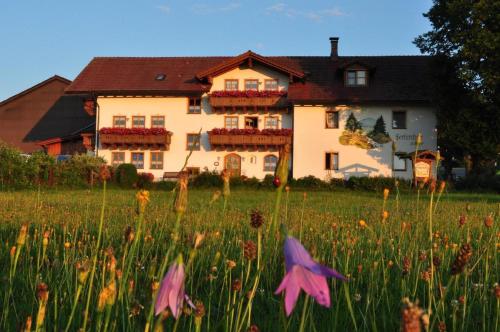 Bauernhof Bauer - Apartment - Zwiesel