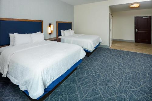 Hampton Inn & Suites-Asheville Biltmore Village NC - image 38