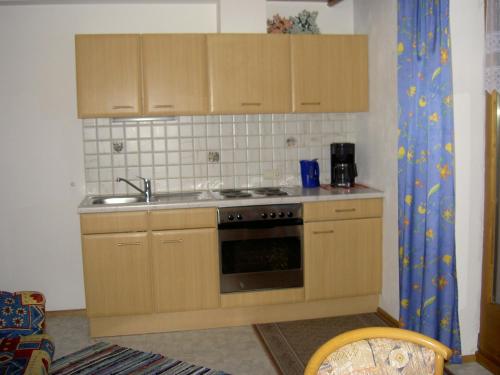 Ferienwohnung Aschenwald in Ramsau im Zillertal