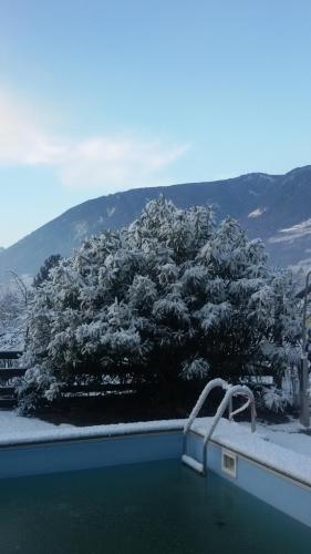 Residence Bichler - image 11