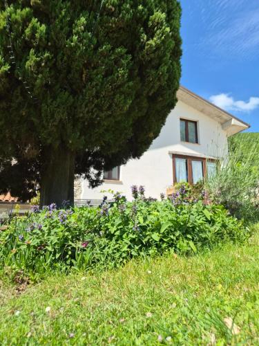 Agriturismo Vallonga