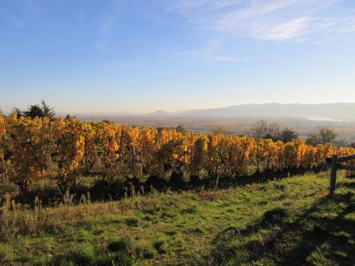 Le Cocon de Curson chambre d'hôtes