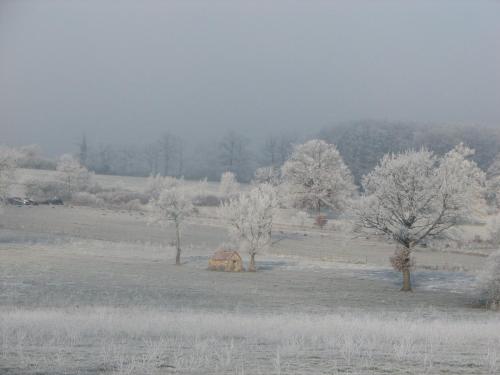 Appart Bibi - Villeneuve d'Aveyron