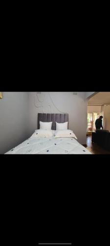 Greendale property in ฮาราเร