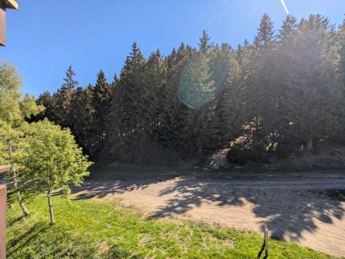 Studio pour 3 pers, au pied des pistes, balcon - FR-1-557-58 in Les Adrets