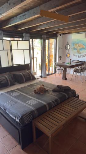 Loft Tortuga in La Vegueta