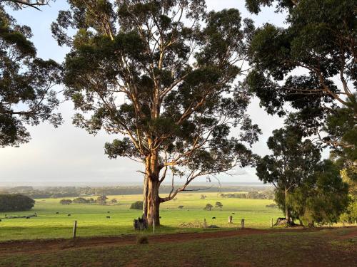 Augusta Sheoak Chalets - Nannup Augusta Sheoak Chalets - Nannup
