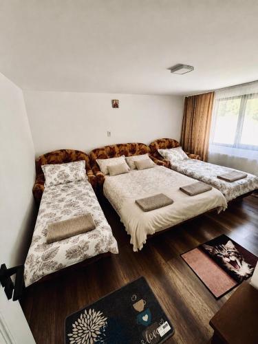 Cabană Scărița Belioara (Cabana Scarita Belioara) in Salciua De Sus
