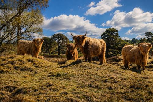 Tigh Na Sithe in Kinloch Rannoch