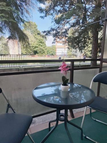 Erkel apartman in Harkany
