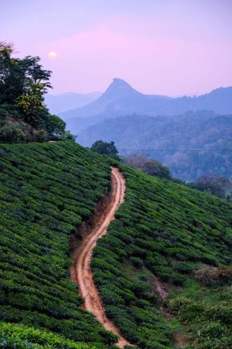 Grace Inn Homestay Munnar - Munnar Grace Inn Homestay Munnar - Munnar