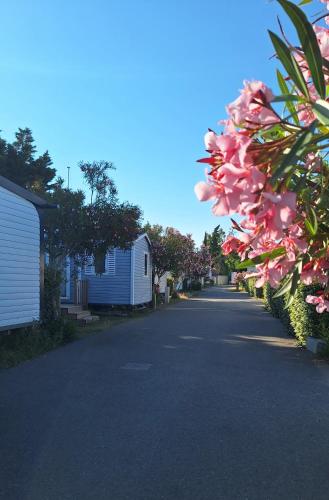 Mobil-home les salins de gardiole in Vic-la-Gardiole