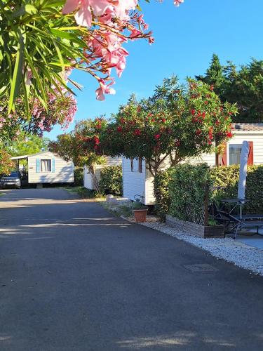 Mobil-home les salins de gardiole in Vic-la-Gardiole