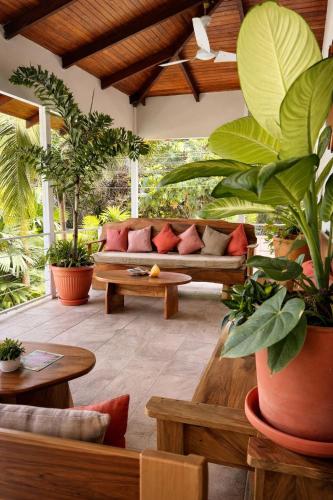 Sanctuary Puerto Viejo in Puerto Viejo de Talamanca