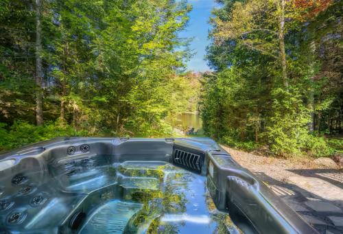 L'Opie in Saint Adolphe D'Howard (QC)