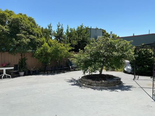 Létesítmények, Maxwell Park Beauty w Huge Backyard in Oakland (Kalifornia)