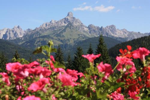 Apartements Richlegghof - Apartment - Filzmoos