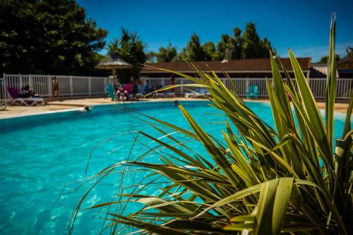 Camping Rives des Corbières - image 3