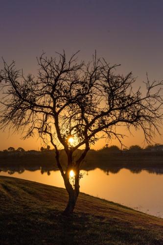 Suaimhneas – Kissimmee, FL