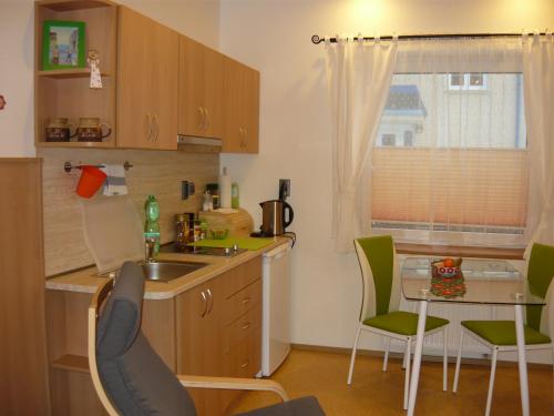 Konyha, Apartments - Penzion Lena in Hradec Kralove