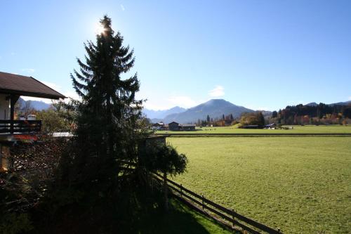 Alpenflair Ferienwohnungen Whg. 304+203 - image 5