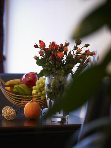 Pension & Appartementhaus am Schloss - image 14