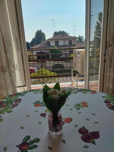 Scer GEA in Cerro Maggiore