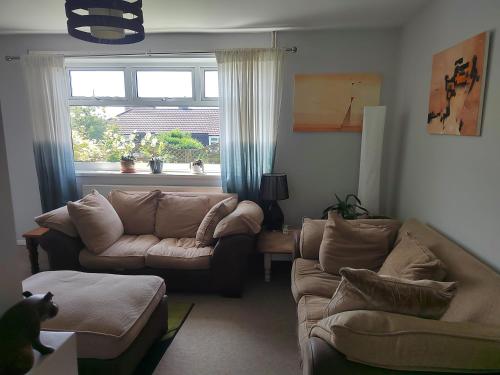 Nice double and single rooms in the quiet area with excellent shared facilities 4