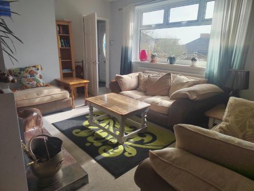 Nice double and single rooms in the quiet area with excellent shared facilities 3