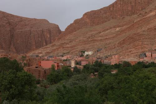 棕榈树宾馆 棕榈树宾馆