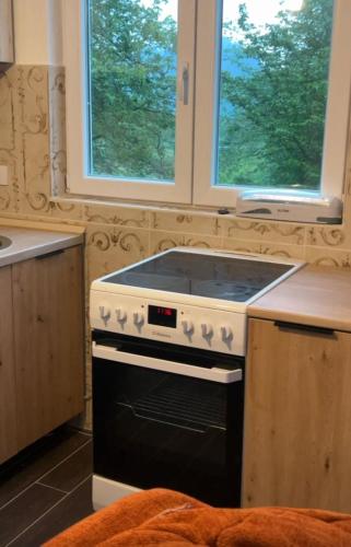 ApartmanbyVojkan-Tara bridge in Durdevica Tara