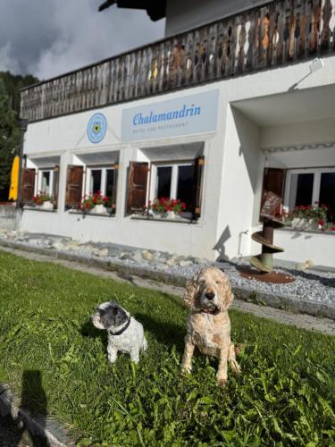 Hotel Chalamandrin in Ftan, Schweiz