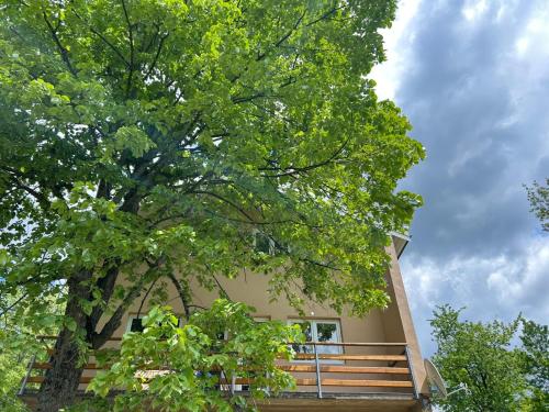 Balkons/terase, ApartmanbyVojkan-Tara bridge in Durdevica Tara