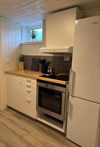 Central 2 bedroom basement apartment for 1-6 people with free parking in ヘーネフォス