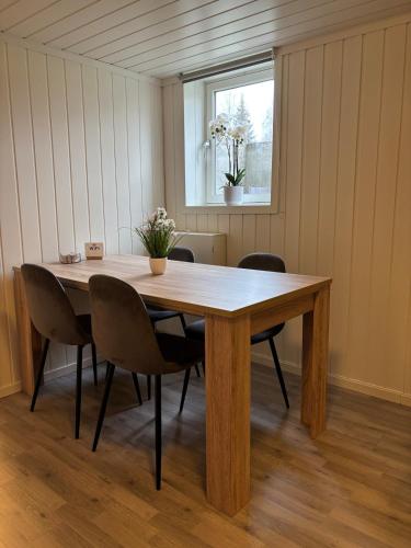 Central 2 bedroom basement apartment for 1-6 people with free parking in ヘーネフォス