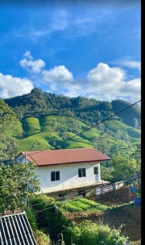The Train View in Nuwara Eliya