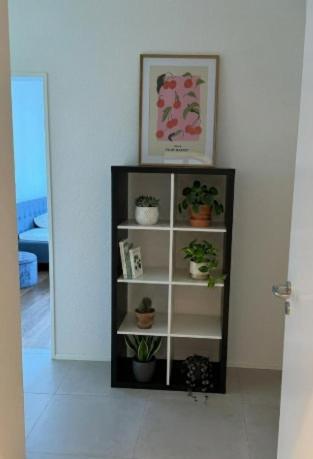 Bright oasis of well-being with charm in Ehrendingen