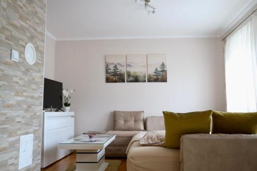 Koplietošanas atpūtas telpa ar TV, PivApart Plužine (PivApart Pluzine) in Nedajno