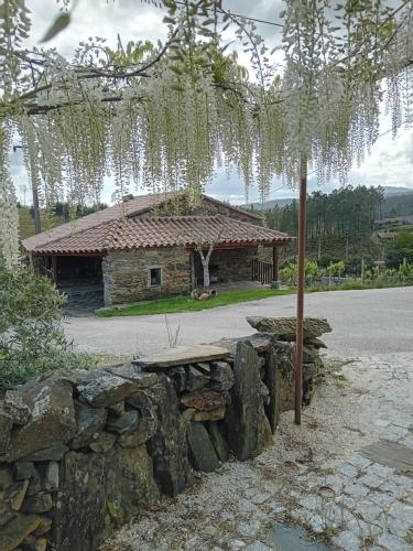 Casa do Dão (Casa do Dao) in Oleiros (Castelo Branco)