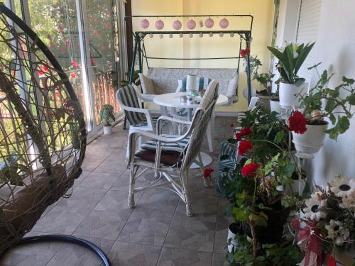 Apartment Vila MM Srce in Vrdnik